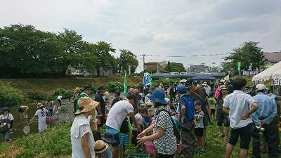 d0020180_12362018.jpg