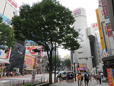 b0056983_13534185.jpg