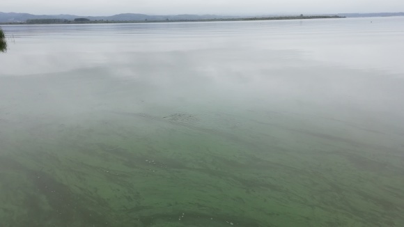 c0212083_20190116.jpg