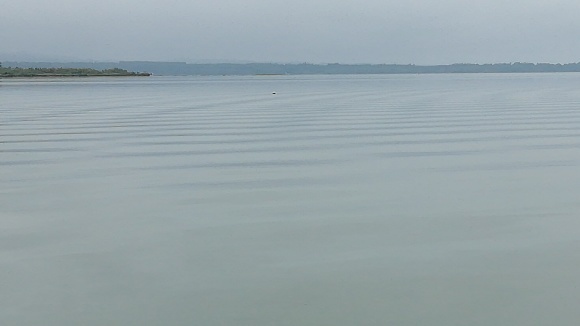 c0212083_20193128.jpg
