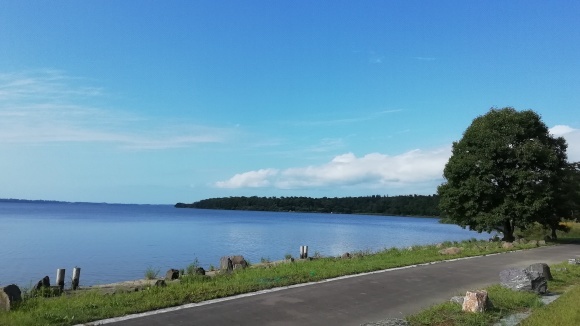 c0212083_20214496.jpg
