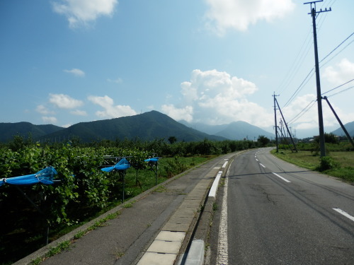 b0334084_16412340.jpg