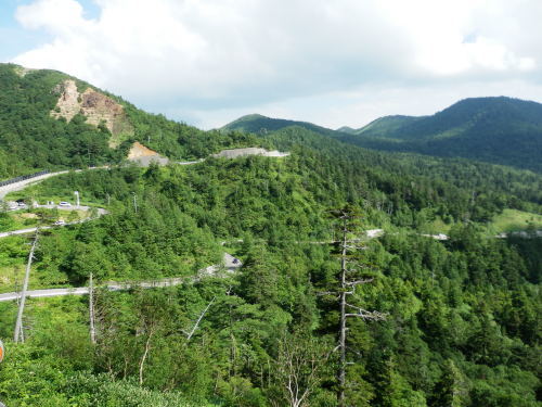 b0334084_17025064.jpg