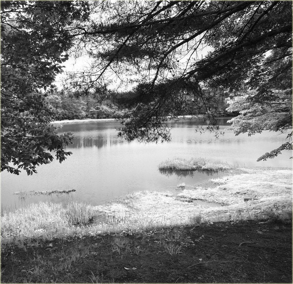 c0229384_14332223.jpg