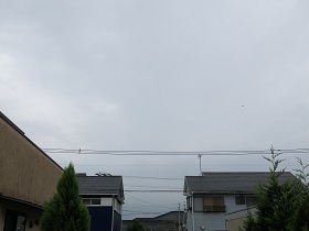 e0130185_23403644.jpg