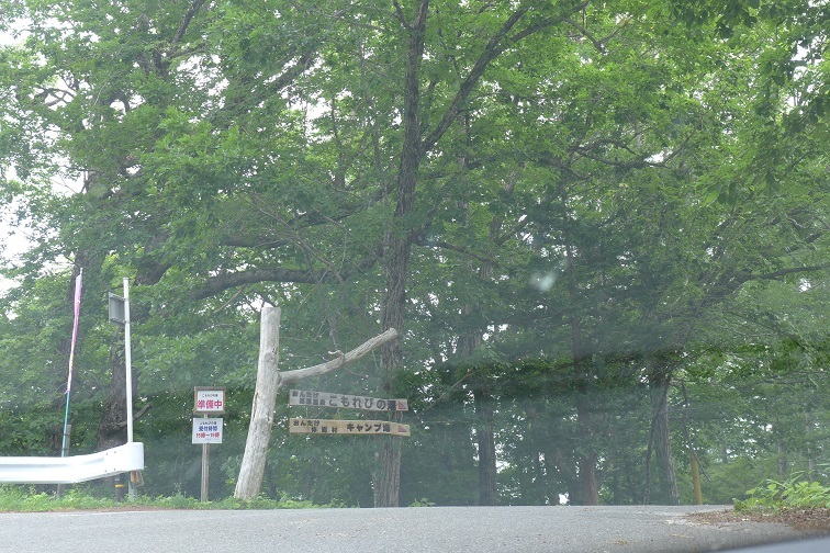 a0130586_16194890.jpg