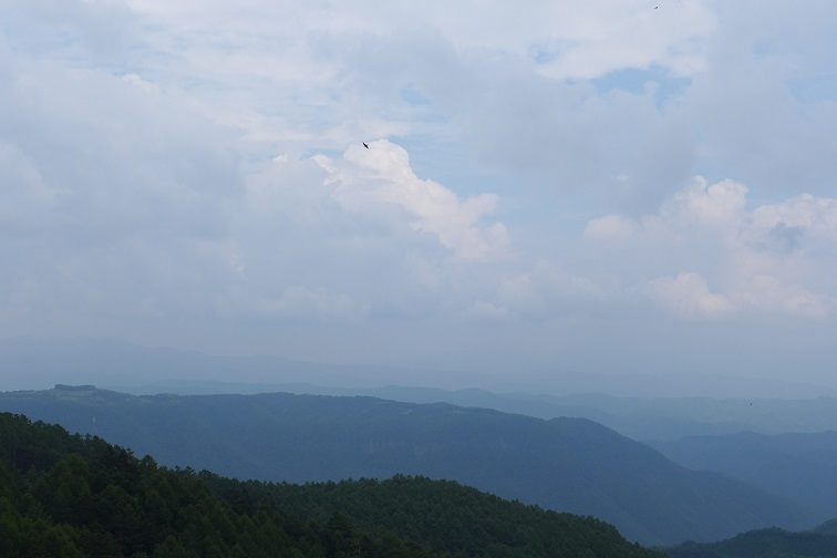 a0130586_16315472.jpg
