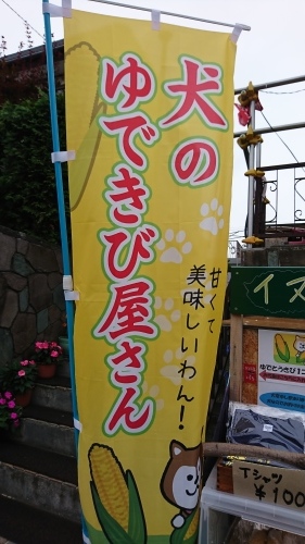 通常営業しております!_c0219786_17354984.jpg