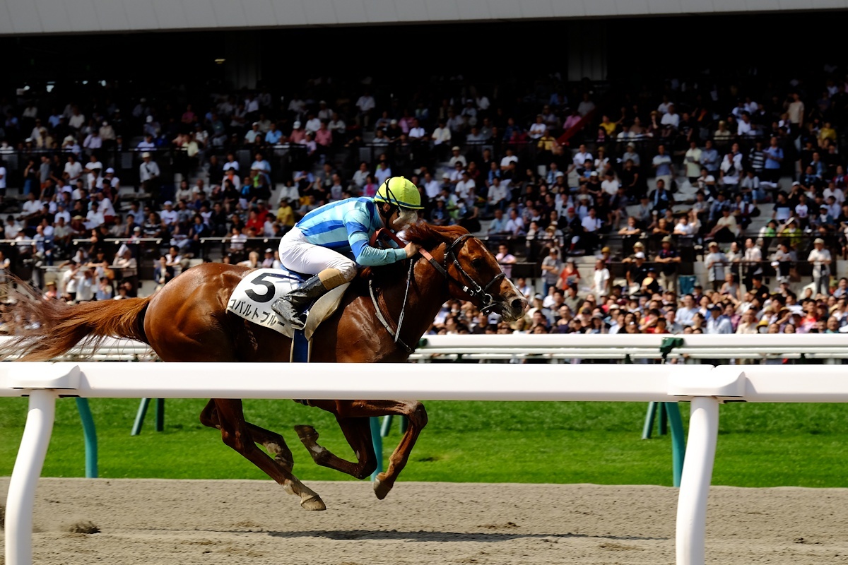 2回札幌競馬2日_e0051186_12073935.jpg