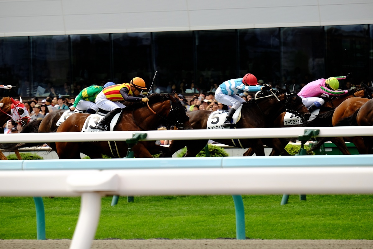 2回札幌競馬2日_e0051186_12075174.jpg