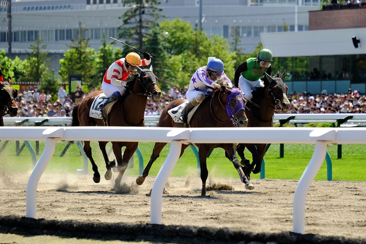 2回札幌競馬2日_e0051186_12082516.jpg
