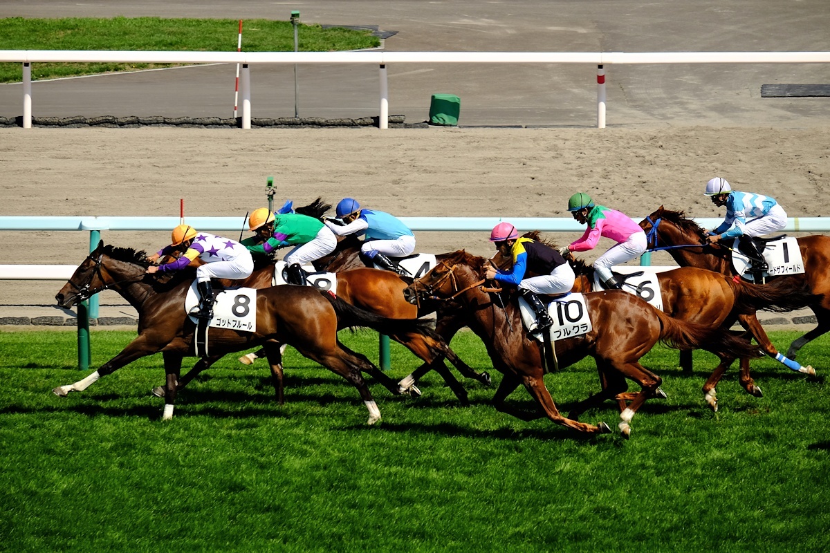 2回札幌競馬2日_e0051186_12083507.jpg