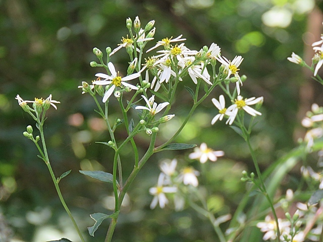 f0357487_22130199.jpg