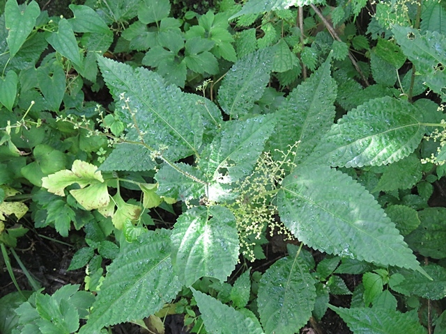f0357487_22182707.jpg