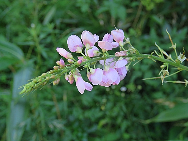 f0357487_22230825.jpg