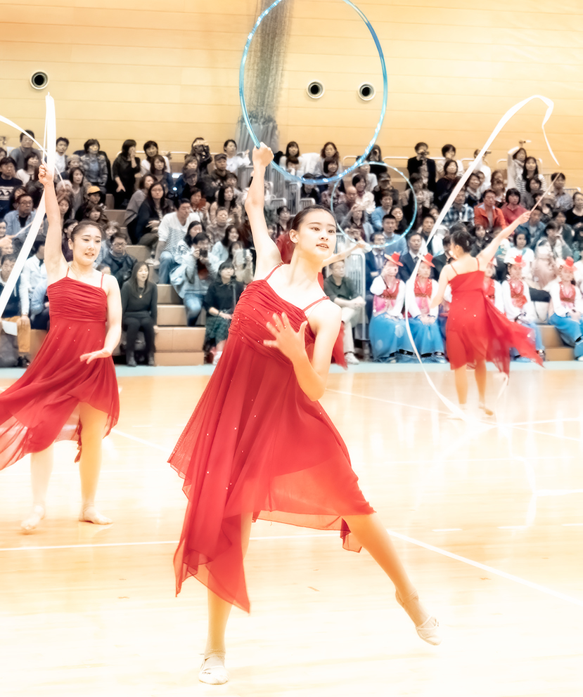 日本体育大学新体操部（日体フェスティバル2018） _f0105694_23001628.jpg