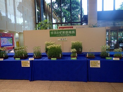 f0203094_16182480.jpg