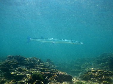 f0079996_17084212.jpg