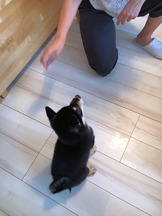 c0090198_20375968.png
