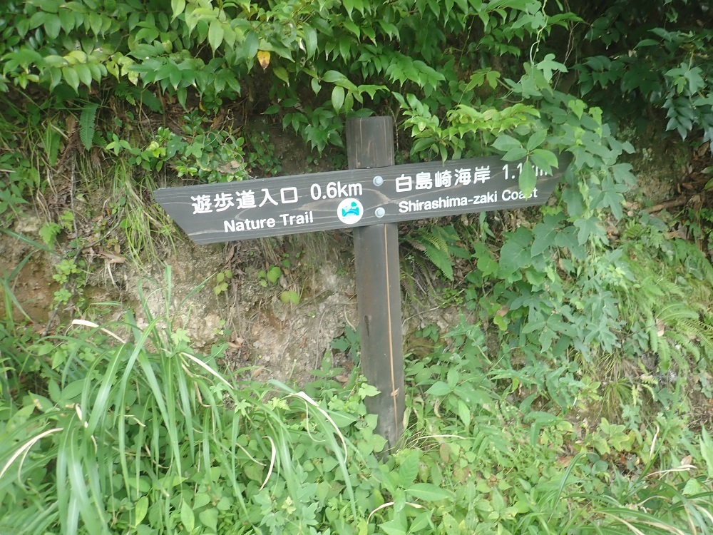 お盆休み終了して戻ってきました。其の2_b0093800_22071786.jpg