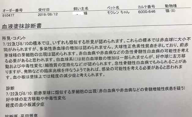 シニアいろいろ_f0242002_15202548.jpg
