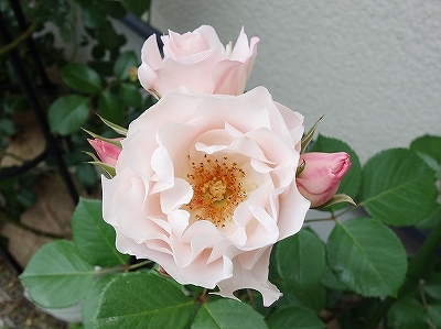 e0289203_16033019.jpg