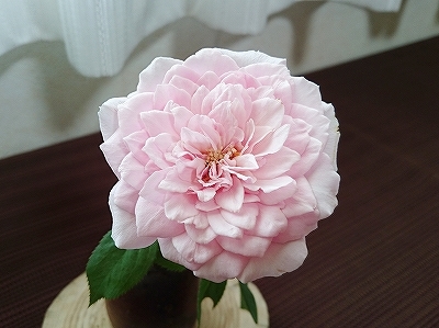 e0289203_16162841.jpg