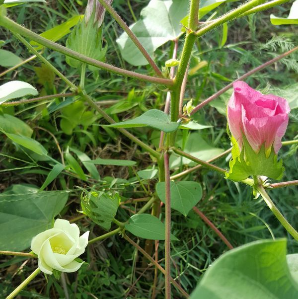 c0228804_21534975.jpg