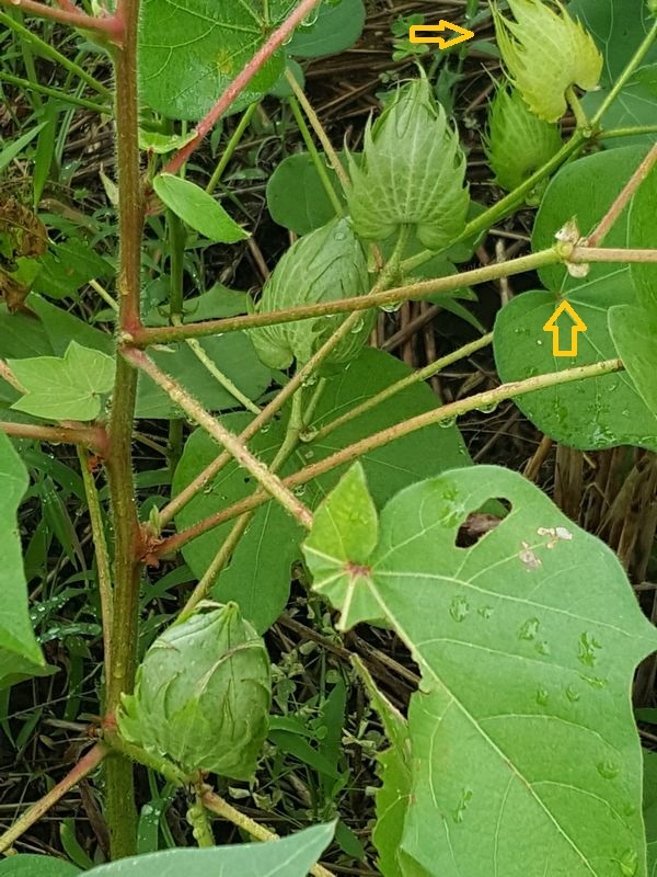 c0228804_22401870.jpg