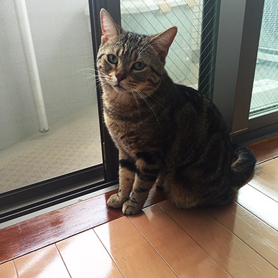 ***どこへ行こうか どこで暮そうか 3_e0148304_22232682.jpg