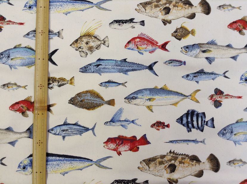 魚柄・深海魚柄の布_d0156706_11173691.jpg