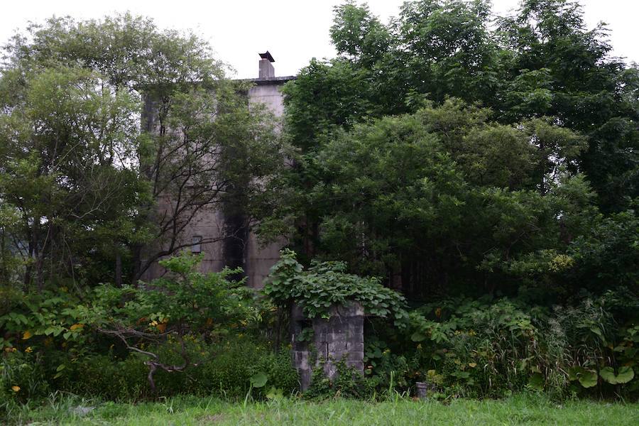 e0183106_20215496.jpg