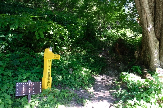 2019夏休み 一人登山 裏銀座縦走 その1_e0000910_10005753.jpg
