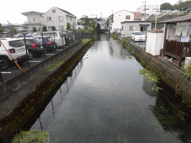 この時期に最も伸びる水草! 町内によって人数の確保が大変な田宿川の川そうじ_f0141310_07170149.jpg