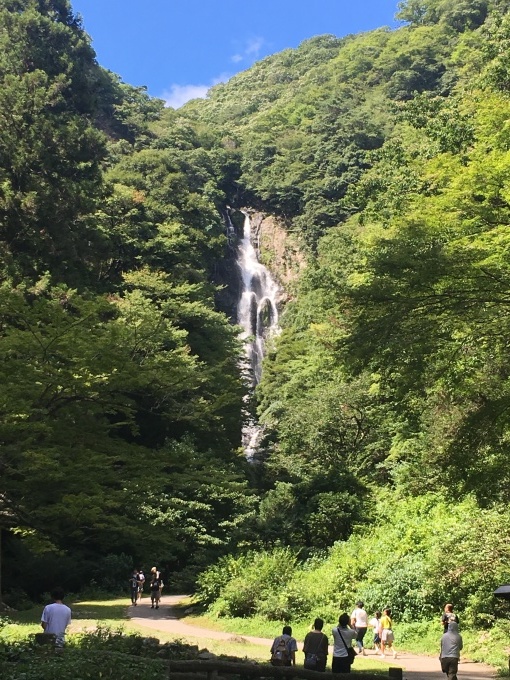 c0102513_23133596.jpeg