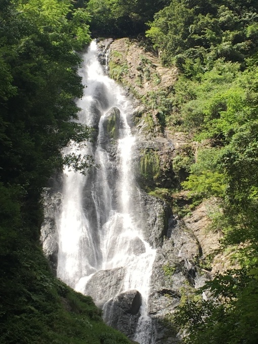 c0102513_23135920.jpeg