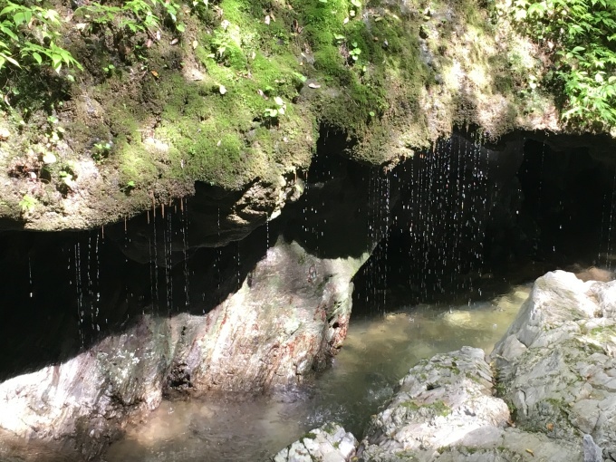 c0102513_23185818.jpeg