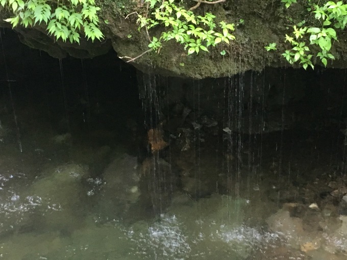 c0102513_23192085.jpeg