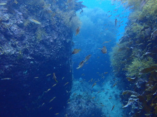 d0070216_17140642.jpg