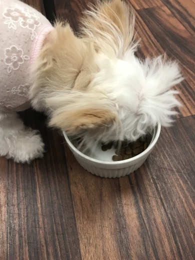 お泊りブログ！_b0130018_08531243.jpeg