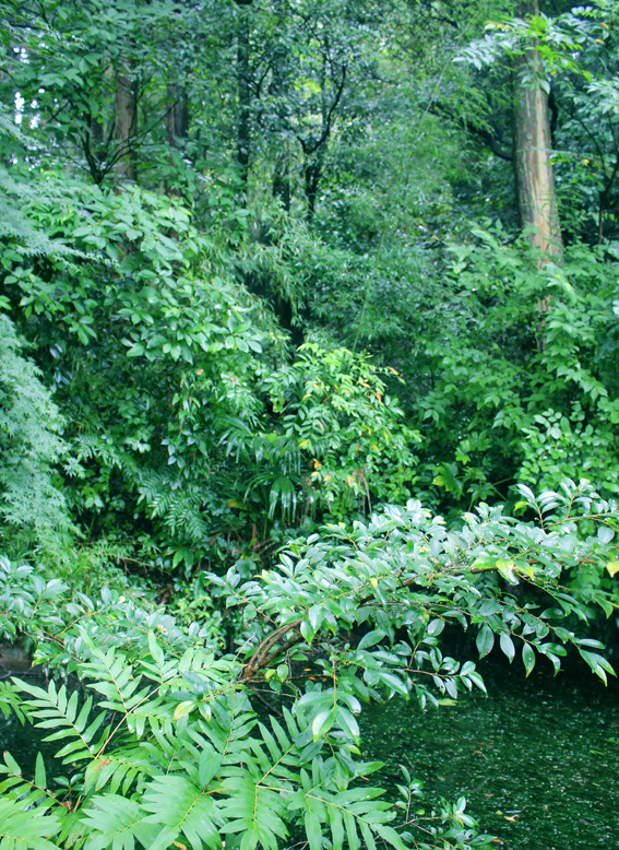 a0329820_12411466.jpg
