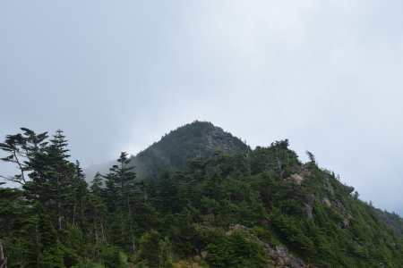c0221521_07593954.jpg