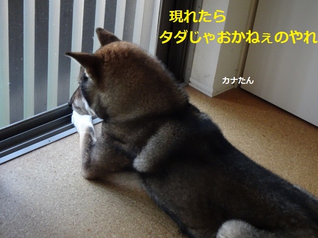 f0143123_21012764.jpg
