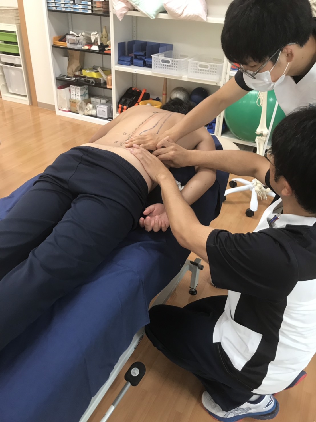 第162回TOC体表解剖勉強会|腸肋筋、最長筋、多裂筋、腰方形筋_b0329026_20541301.jpg