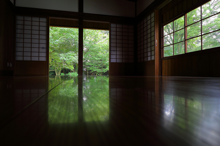 夏の京都御苑（後編） _b0169330_10342328.jpg