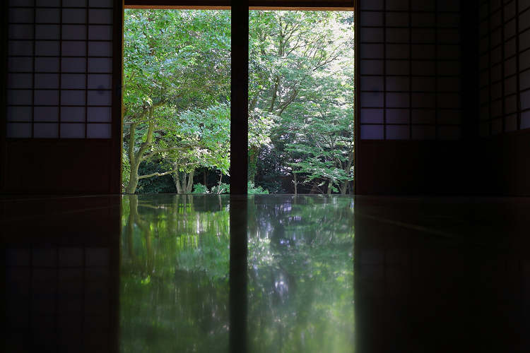 夏の京都御苑（後編） _b0169330_10454119.jpg