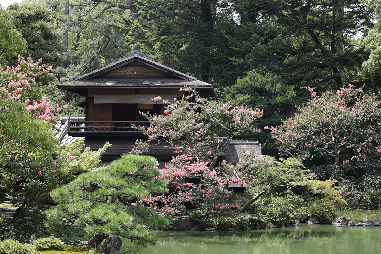 夏の京都御苑（中編） _b0169330_9165556.jpg