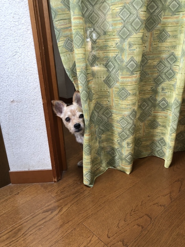 d0359930_01052813.jpeg