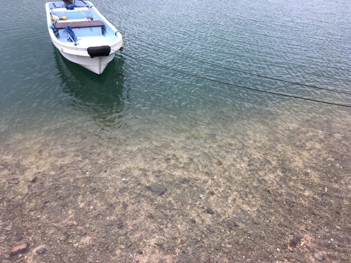 西表島〜ヤラブの木陰〜in 船浮_e0155231_01402606.jpeg