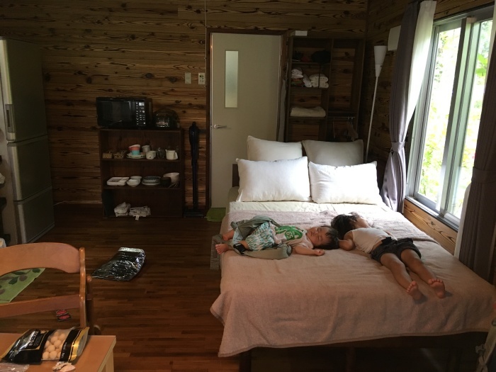 西表島〜ヤラブの木陰〜in 船浮_e0155231_01432861.jpeg
